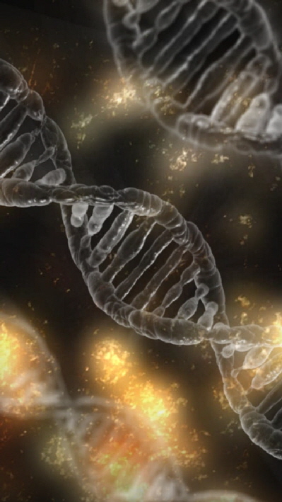 Teil 5 - Akuter Stress - Dauerstress - Stressbew�ltigung?