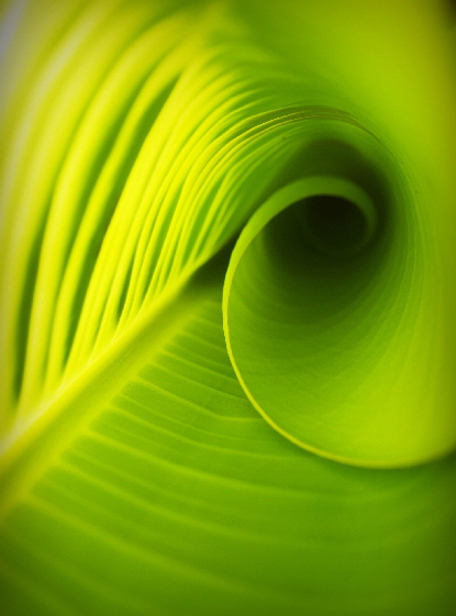 Teil 6 - Stress und Gl�ck: Gr�ne Produktivit�tszone