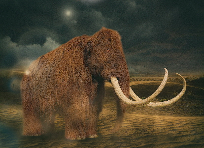 Teil 7 - Stress und das Tier im Menschen