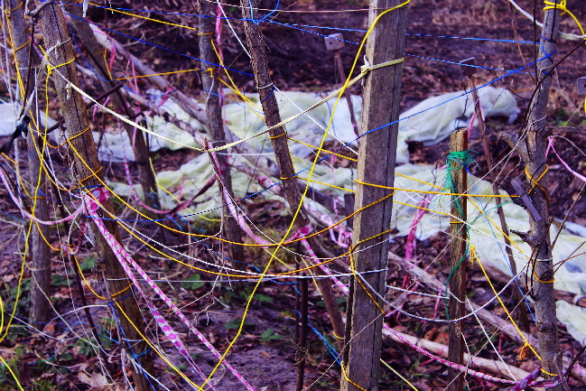 Nervenchaos bei �berbelastung