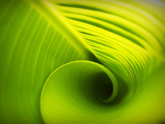 Entspannt und kraftvoll in der eigenen Mitte