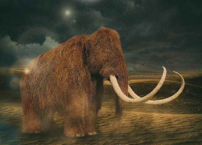 Stressprogramm aus alter Zeit