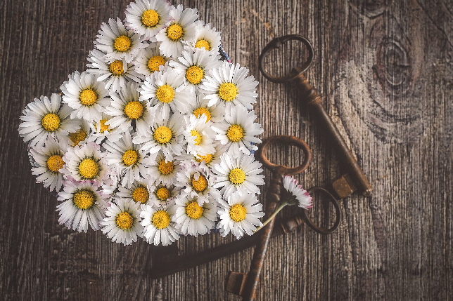 verschiedene Schl�ssel zum erfolgreichen Stressmanagement