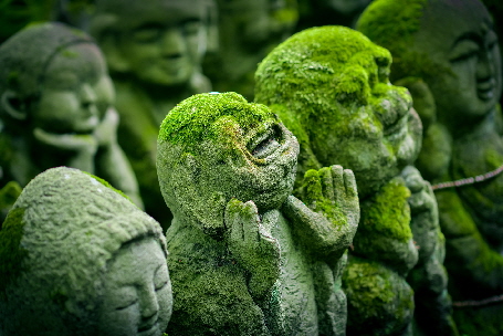 In welcher Situation stellen Sie sich tot?