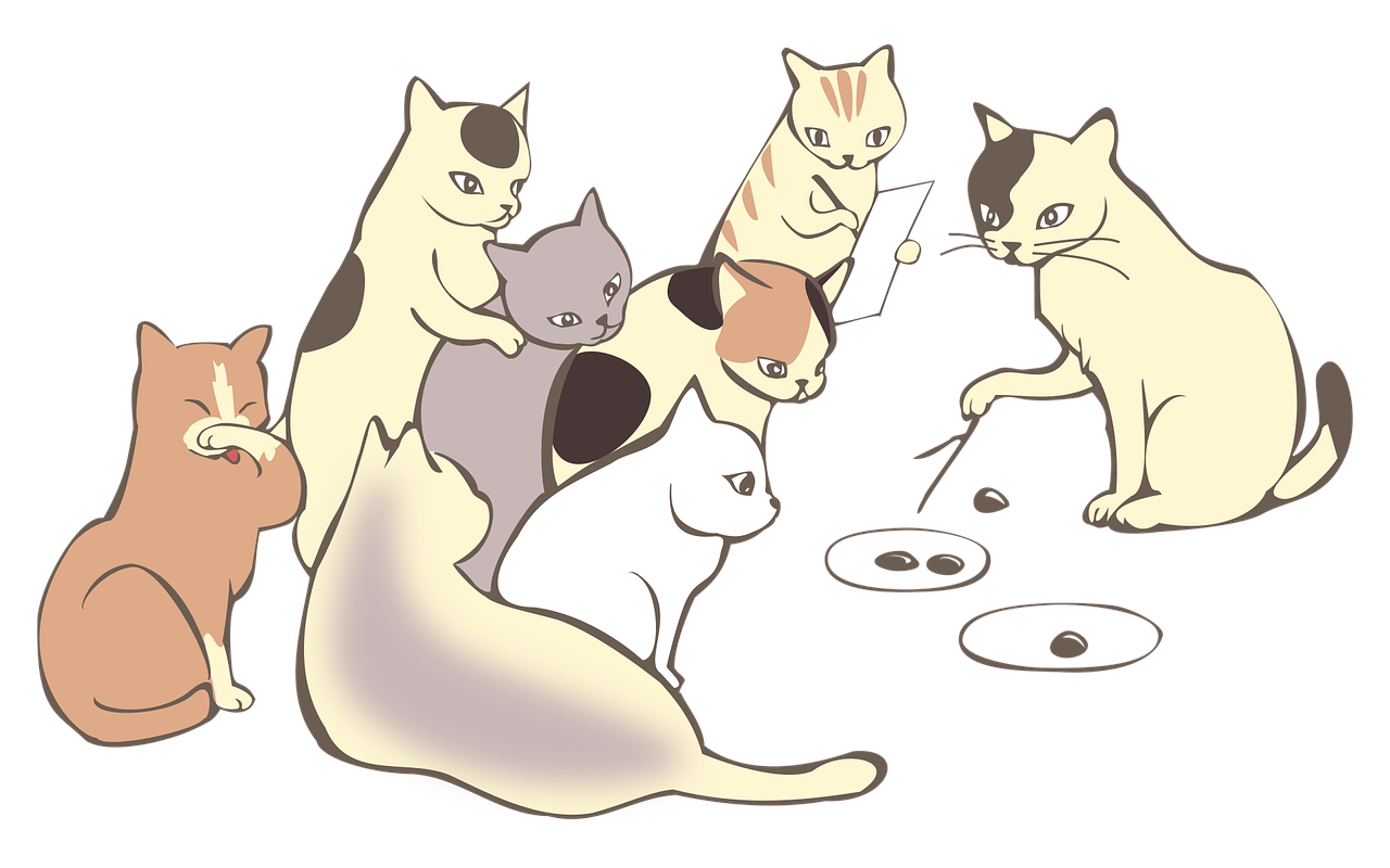 Stress-Software durch Lernen