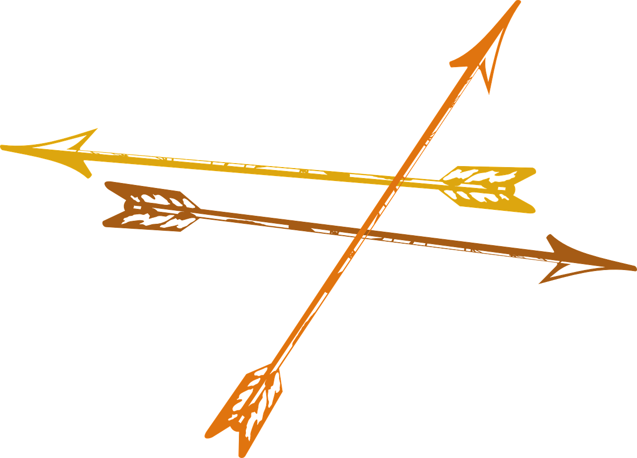Aufmischen -  St�ren - Querschie�en: Kampf