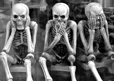 Stressreaktion Tot stellen