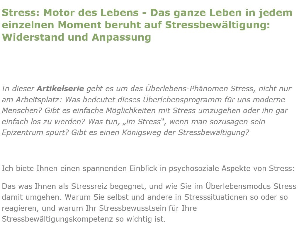 Artikelserie: Stress-Motor-des-Lebens